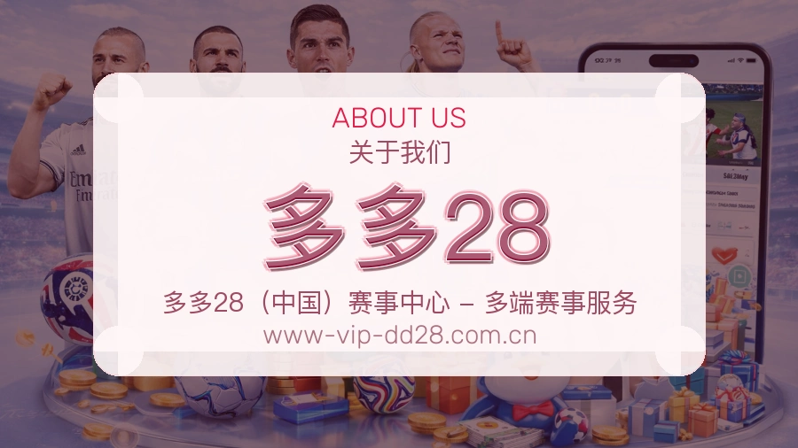 多多28赛事数据服务介绍